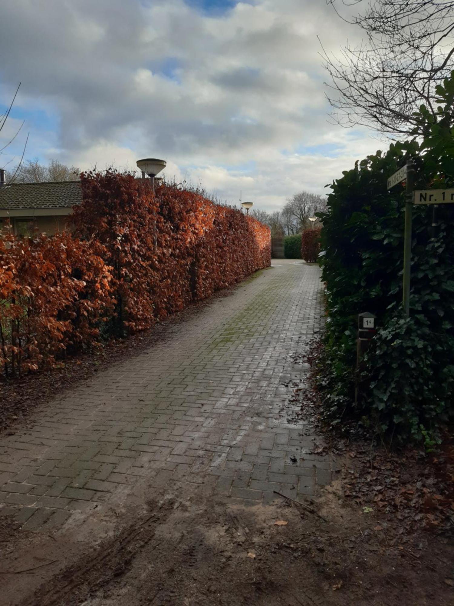 Вилла Huinerhofje 3 - Vrijstaand, Grote Tuin, Rust En Veel Privacy Nabij Uitgestrekte Bossen Пюттен Экстерьер фото